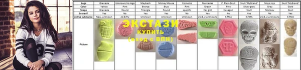 ECSTASY Богданович