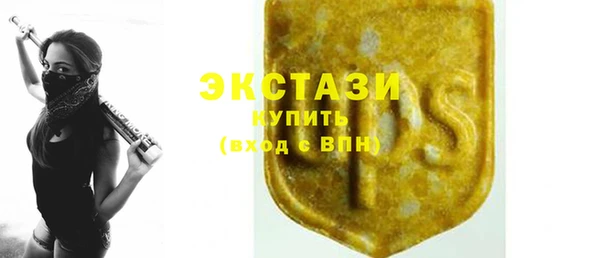 ECSTASY Богданович