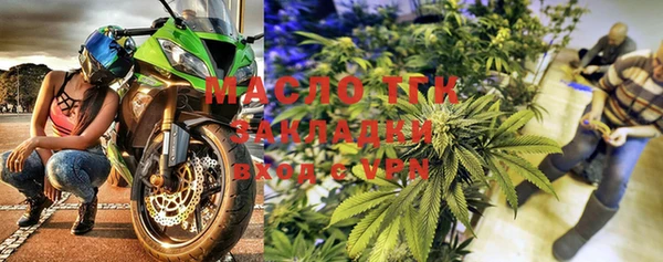 ECSTASY Богданович