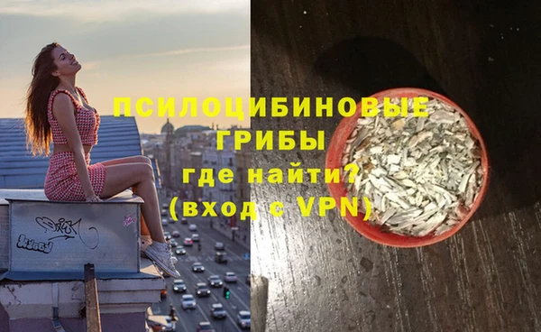 ECSTASY Богданович