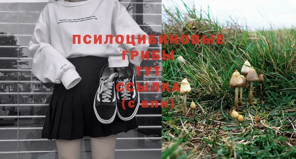метадон Богородицк