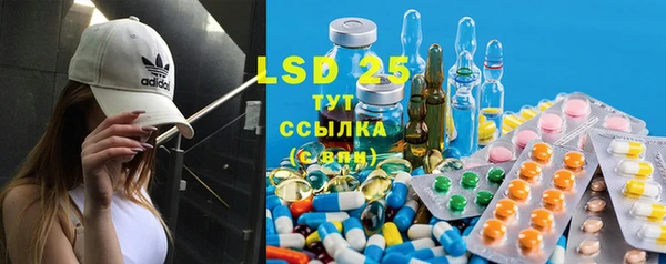 ECSTASY Богданович