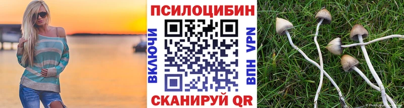Псилоцибиновые грибы Cubensis  Тулун 